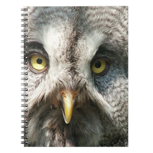 Owl Notebok Notitieboek (Voorkant)