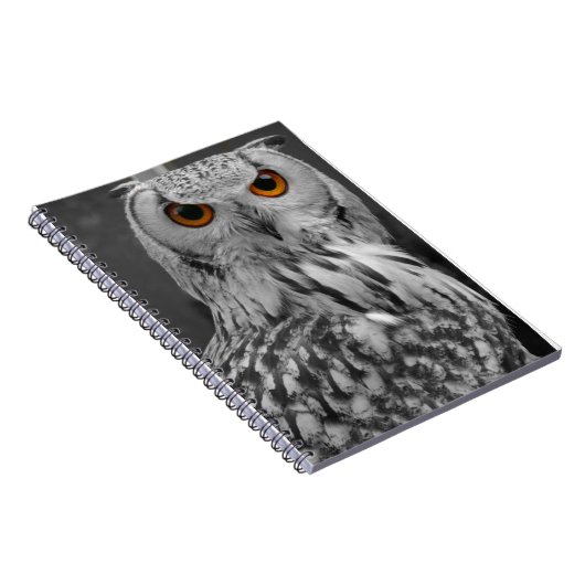 Owl notebook notitieboek (Rechterzijde)