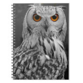 Owl notebook notitieboek (Voorkant)