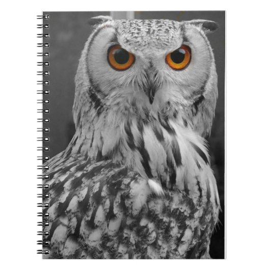 Owl notebook notitieboek (Voorkant)