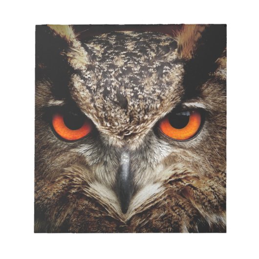 Owl Notitieblok (Voorkant)
