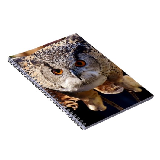 Owl Notitieboek (Rechterzijde)