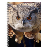 Owl Notitieboek (Voorkant)