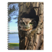 Owl Notitieboek (Voorkant)