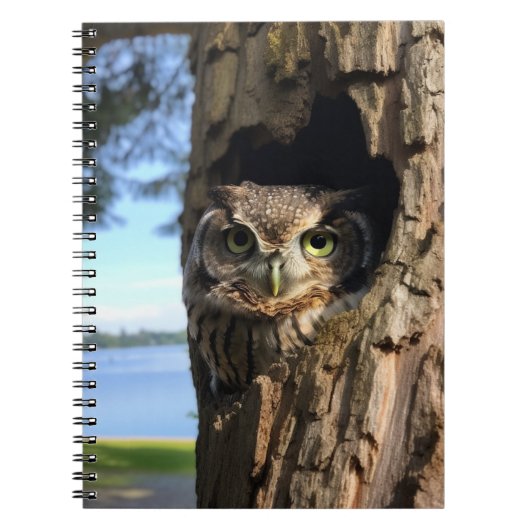 Owl Notitieboek (Voorkant)