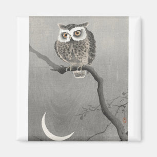 Owl On Tree Branch By Ohara Koson Magneet