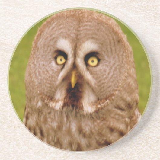 Owl Onderzetter (Voorkant)