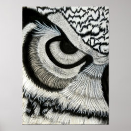 Owl oog (links) poster
