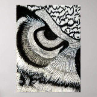 Owl oog (links) poster