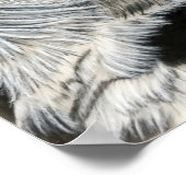 Owl oog (rechts) poster (Hoek)