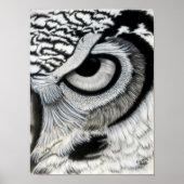 Owl oog (rechts) poster (Voorkant)