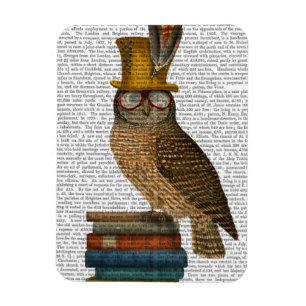 Owl op boeken magneet