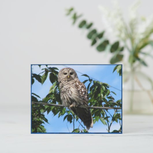 Owl op draad briefkaart (Staand voorkant)