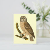  Owl op een Tak Briefkaart (Staand voorkant)
