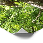 Owl op het Botanische Garden van Van Dusen Vancouv Poster (Hoek)