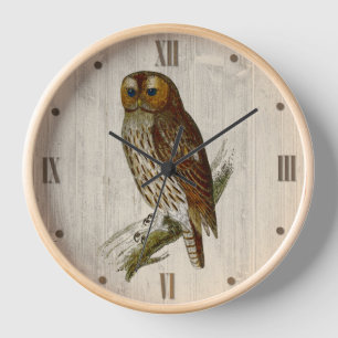 Owl op hout Kijk uit