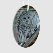 Owl Ornament (voorkant)