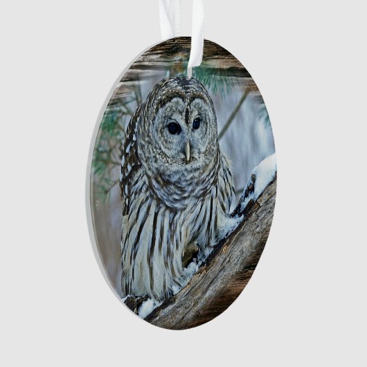 Owl Ornament (voorkant)