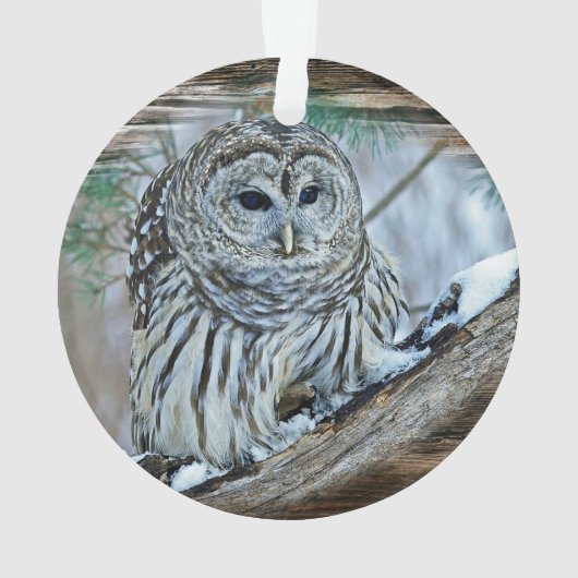 Owl Ornament (achterkant)