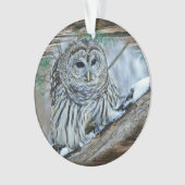 Owl Ornament (voorkant)