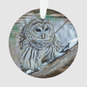 Owl Ornament (voorkant)