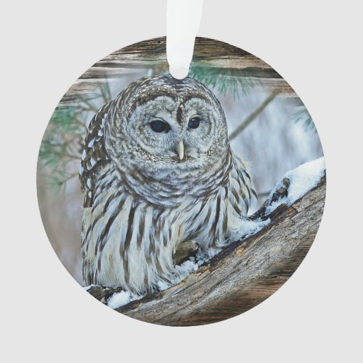 Owl Ornament (voorkant)