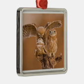 OWL ORNAMENT (Rechts)