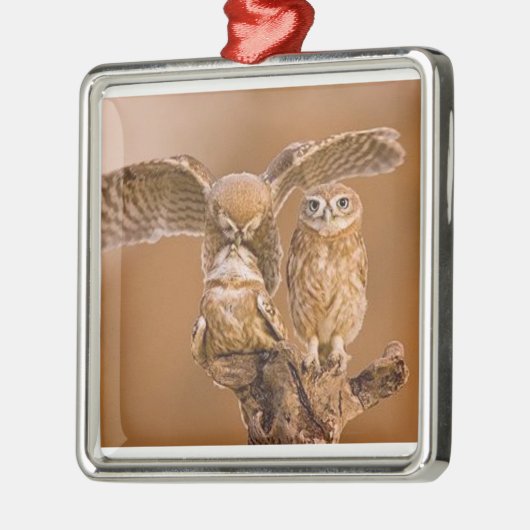 OWL ORNAMENT (Links)