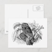 Owl Ownership voor hout Briefkaart (Voorkant / Achterkant)