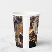 Owl Papieren Bekers (Rechts)
