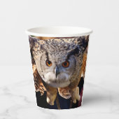Owl Papieren Bekers (Voorkant)
