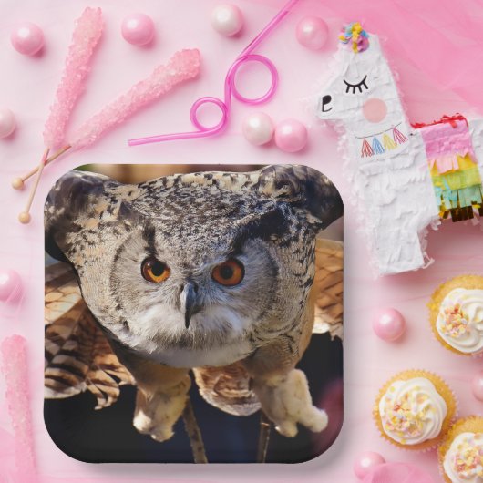 Owl Papieren Bordje (Feest)