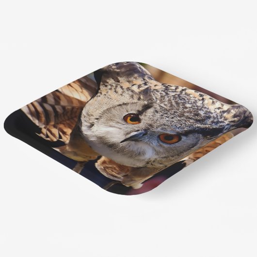 Owl Papieren Bordje (Gebogen)