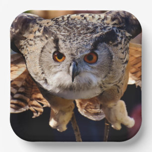 Owl Papieren Bordje