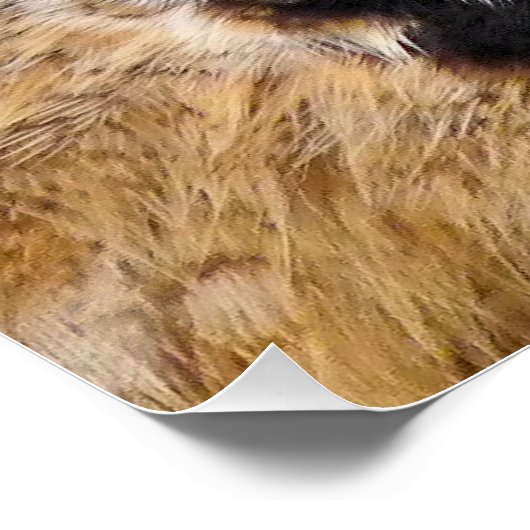 OWL PERFECT POSTER (Hoek)