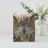 Owl Photo Briefkaart (Staand voorkant)
