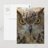 Owl Photo Briefkaart (Voorkant / Achterkant)