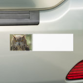 Owl Photo Bumpersticker (Op auto)