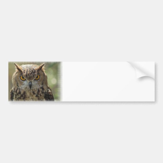 Owl Photo Bumpersticker (Voorkant)
