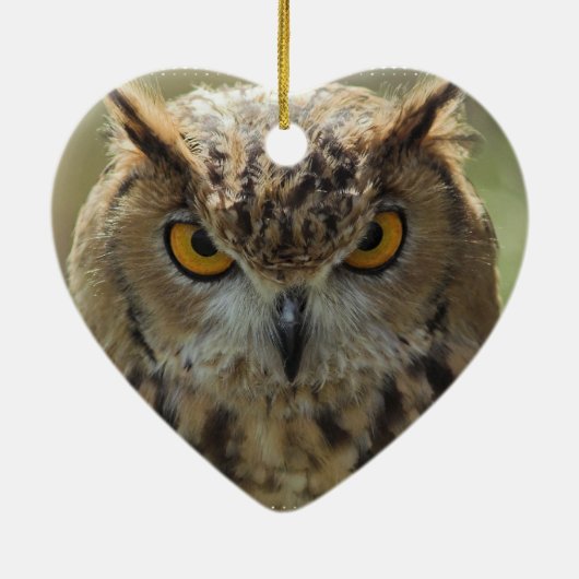 Owl Photo Ornament (Achterkant)