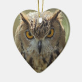 Owl Photo Ornament (Links)