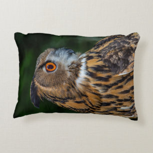 Owl Pillow Accent Kussen