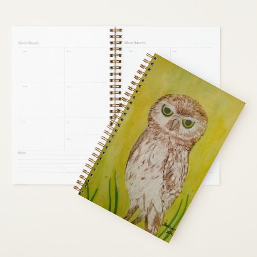 Owl Planner (Display)