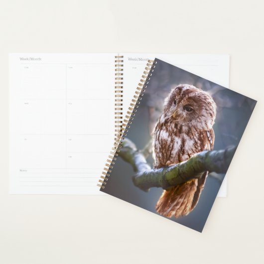 Owl Planner (Display)