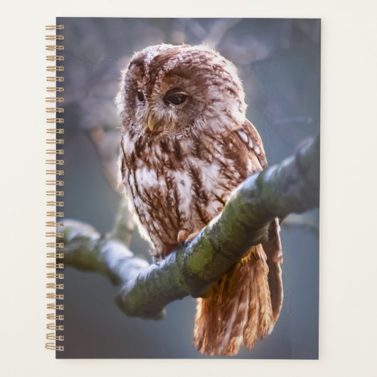 Owl Planner (Voorkant)
