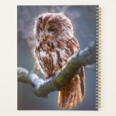 Owl Planner (Achterkant)