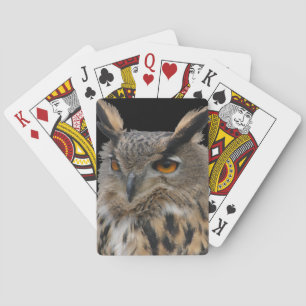 Owl Pokerkaarten