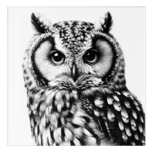 OWL Portret 10x10" Acryl Art Print Zwarte Inkt