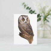 Owl Portret Briefkaarten (Staand voorkant)
