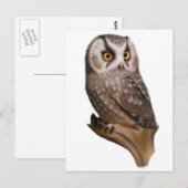 Owl Portret Briefkaarten (Voorkant / Achterkant)